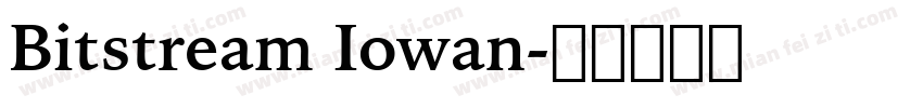 Bitstream Iowan字体转换